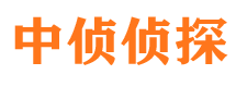 涡阳调查事务所